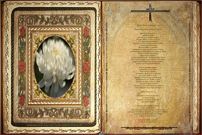 José Antonio Cotallo López