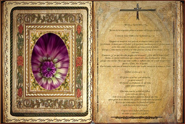 Obra Fotográfica de cotallononocot