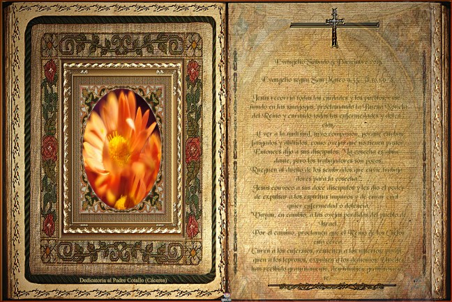 José Antonio Cotallo López