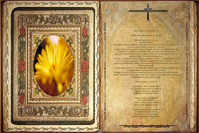 José Antonio Cotallo López