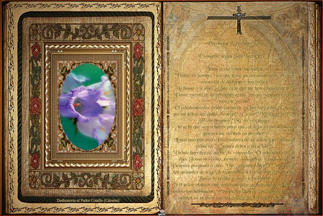 Obra Fotográfica de cotallononocot