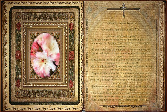 Obra Fotográfica de cotallononoco