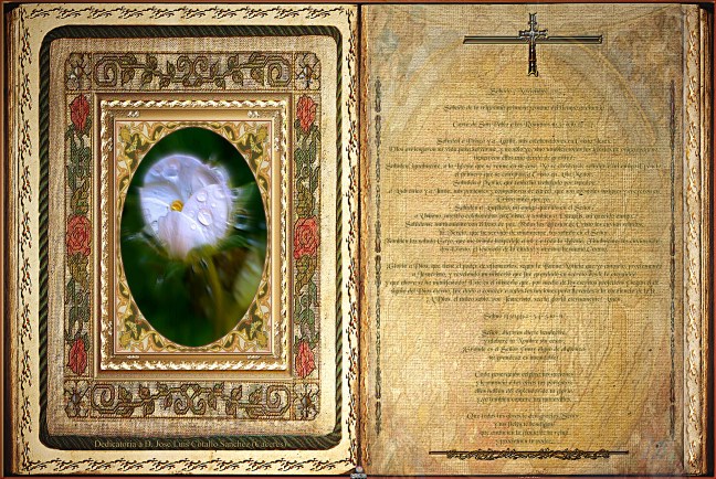 Obra Fotográfica de cotallononocot