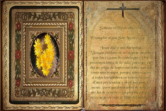 José Antonio Cotallo López