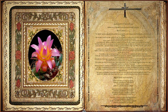 José Antonio Cotallo López