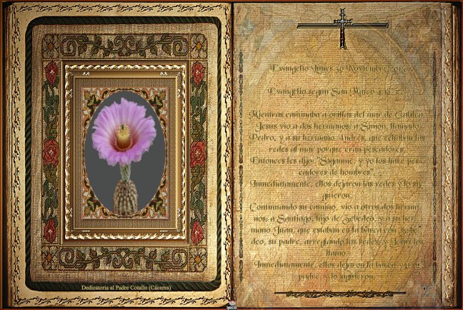 José Antonio Cotallo López