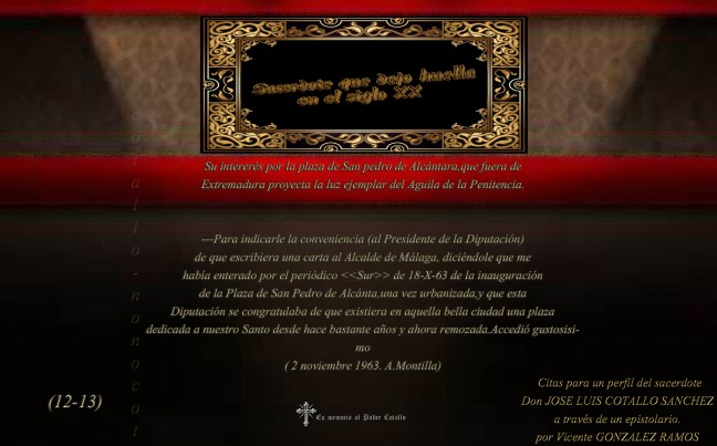 Su intererés por la plaza de San pedro de Alcántara,que fuera de