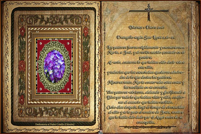 José Antonio Cotallo López