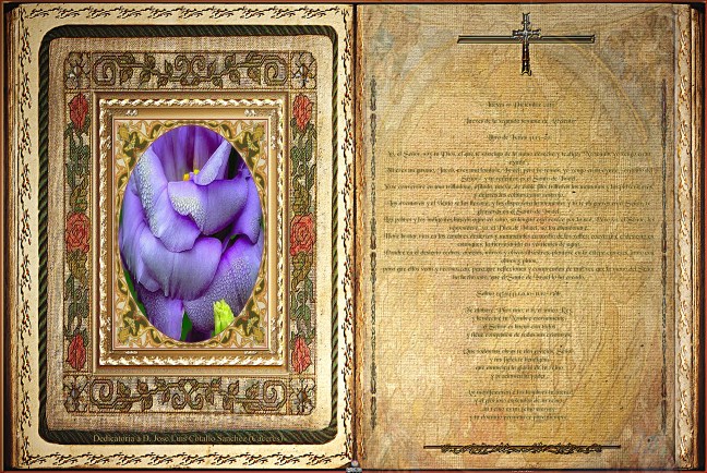 José Antonio Cotallo López