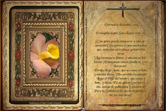 José Antonio Cotallo López