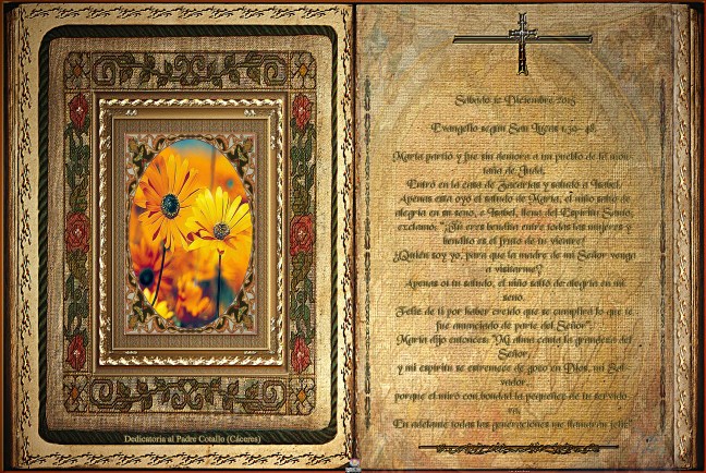  José Antonio Cotallo López