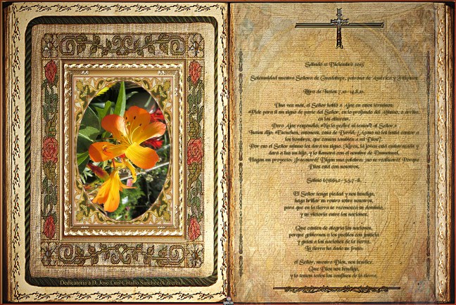  José Antonio Cotallo López