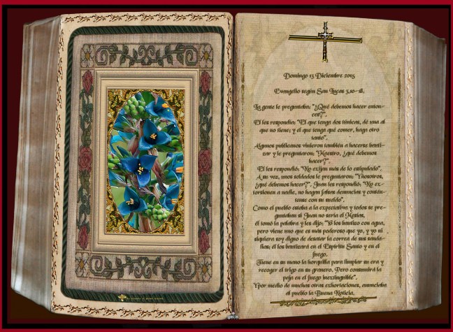   José Antonio Cotallo López