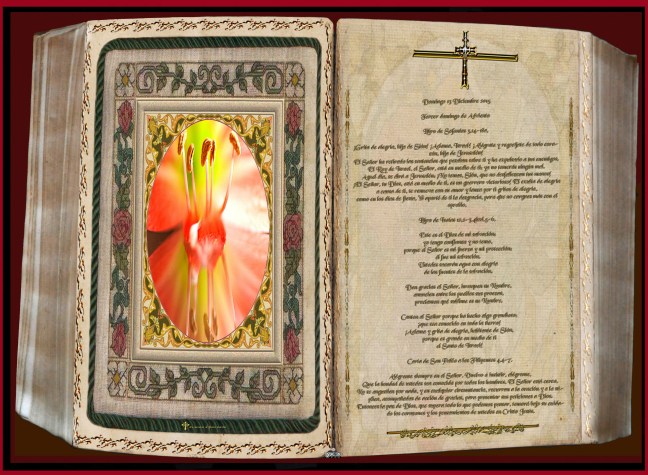 José Antonio Cotallo López