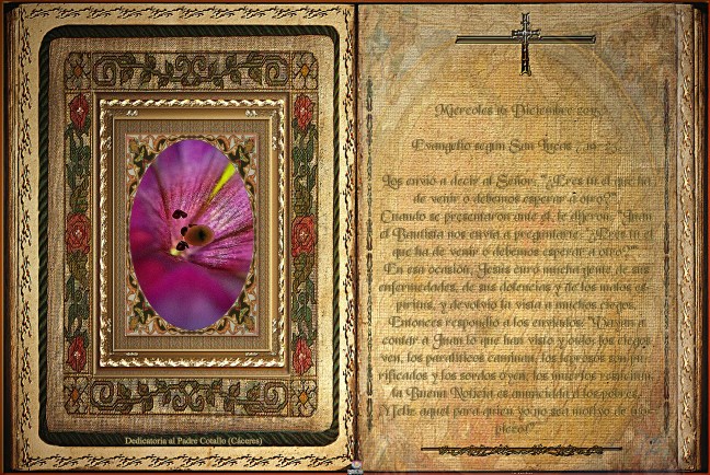 José Antonio Cotallo López