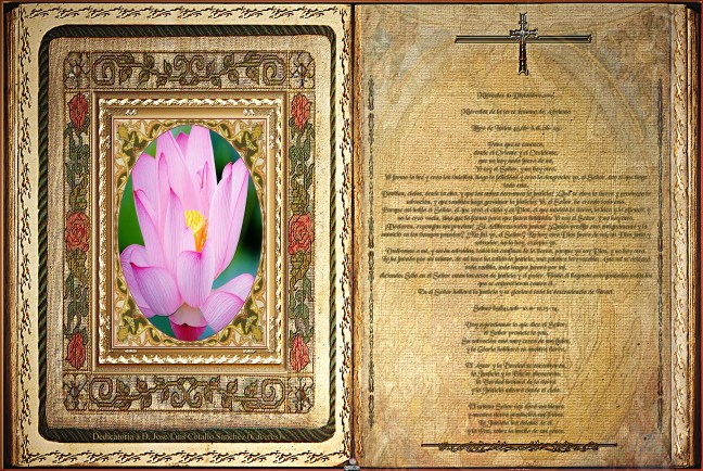 José Antonio Cotallo López