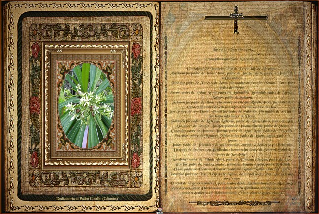 José Antonio Cotallo López