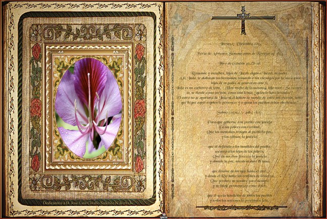 José Antonio Cotallo López