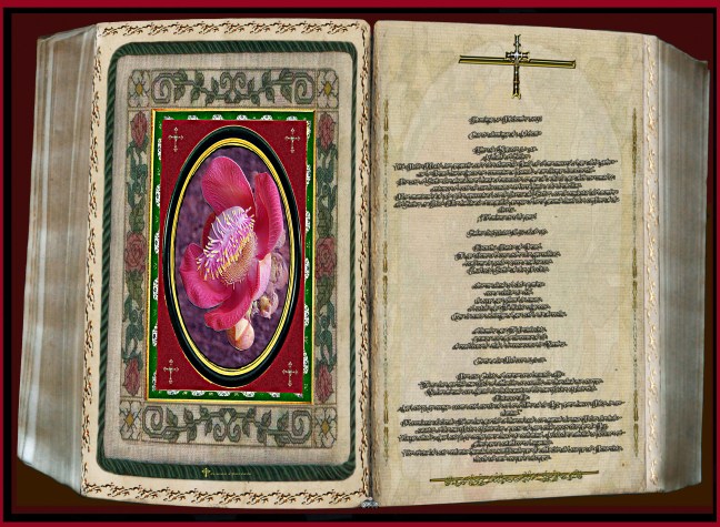 José Antonio Cotallo López