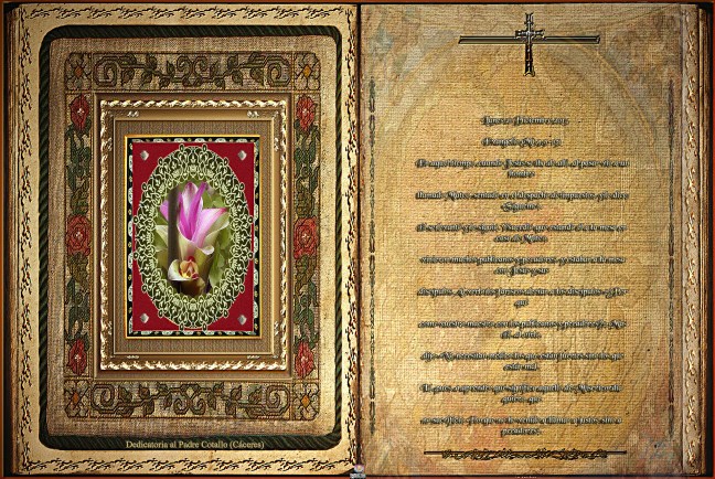 José Antonio Cotallo López