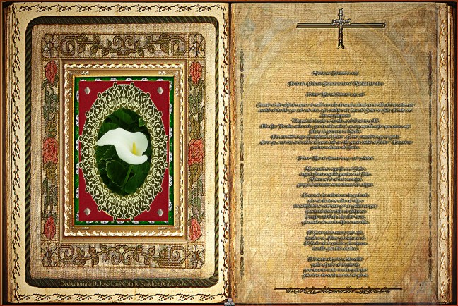 José Antonio Cotallo López