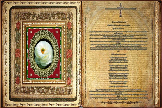 José Antonio Cotallo López