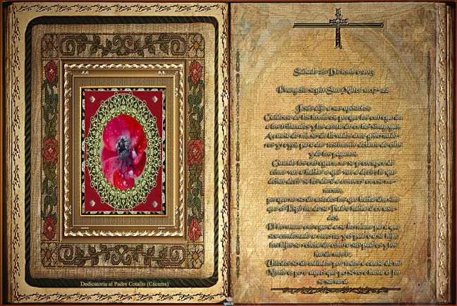 José Antonio Cotallo López