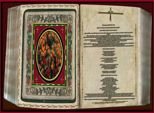 José Antonio Cotallo López