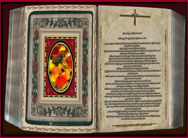 José Antonio Cotallo López