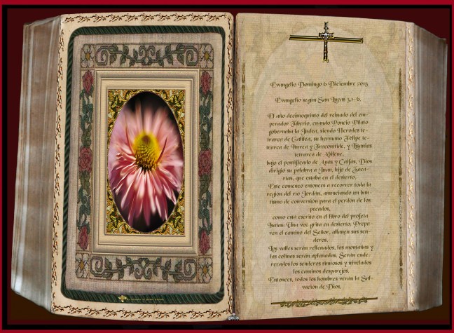 José Antonio Cotallo López