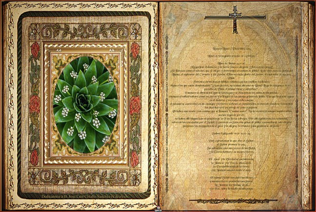 José Antonio Cotallo López