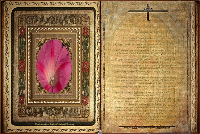 José Antonio Cotallo López