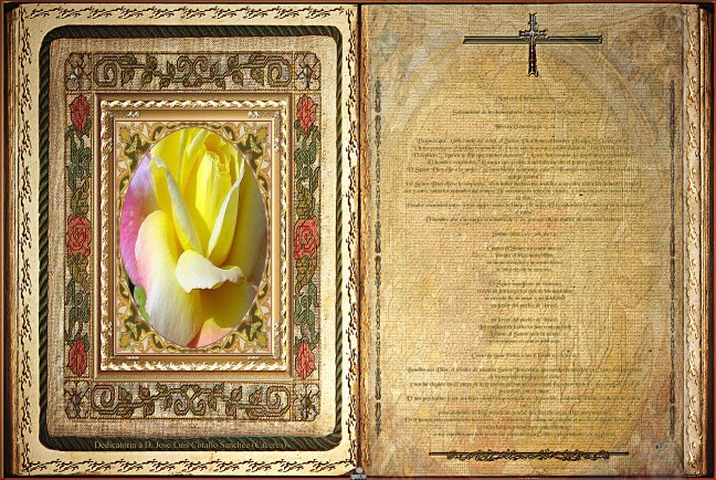 José Antonio Cotallo López