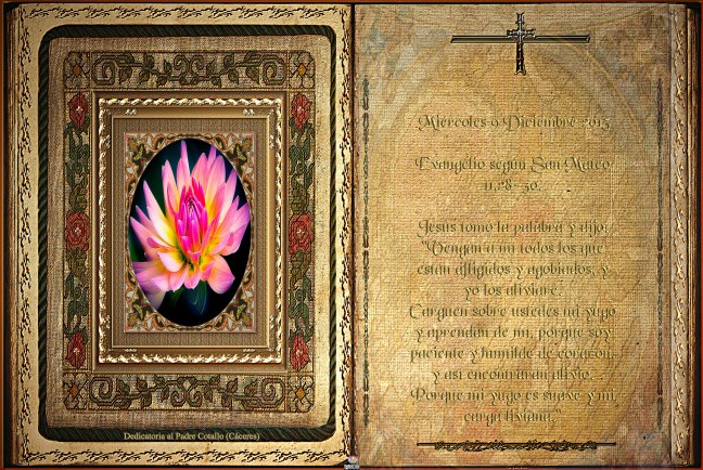 José Antonio Cotallo López