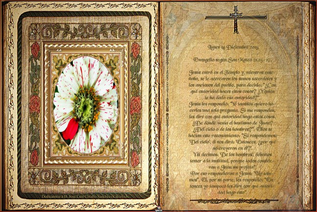 José Antonio Cotallo López