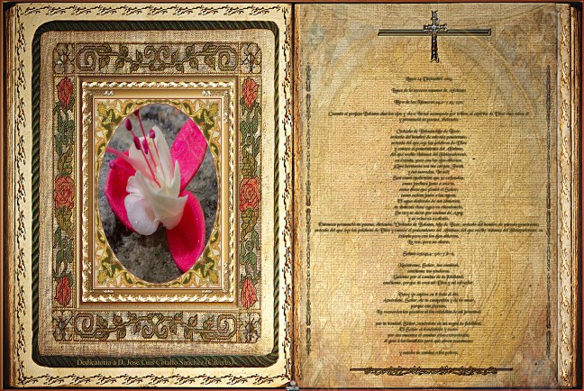 José Antonio Cotallo López