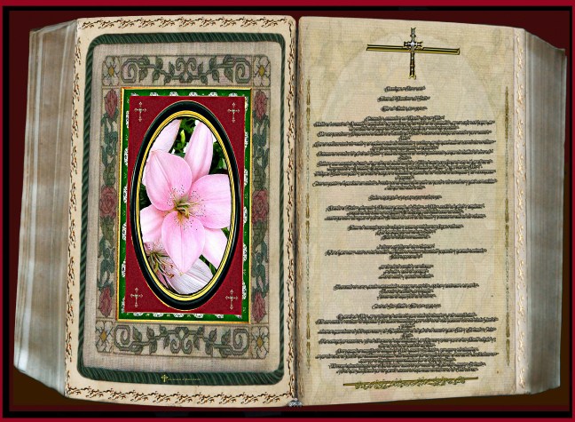 José Antonio Cotallo López