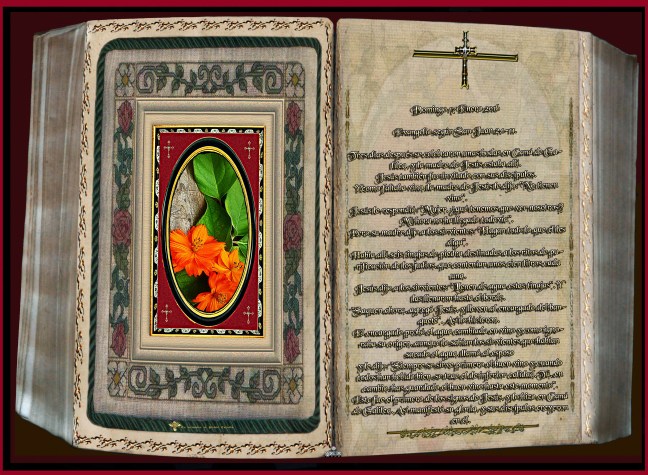 José Antonio Cotallo López