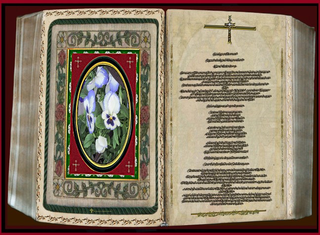   José Antonio Cotallo López