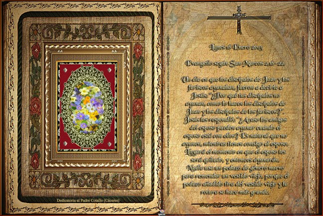 José Antonio Cotallo López