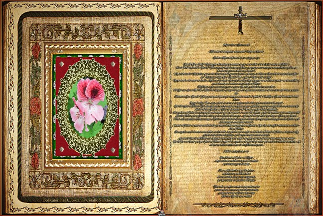 José Antonio Cotallo López