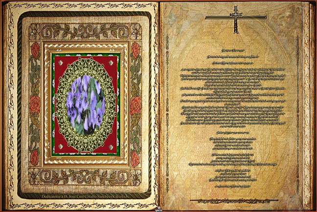 José Antonio Cotallo López