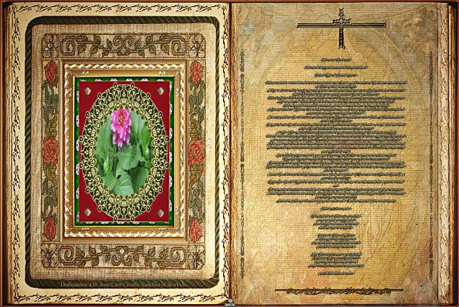 José Antonio Cotallo López