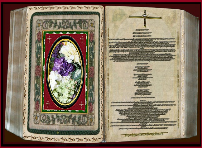 José Antonio Cotallo López