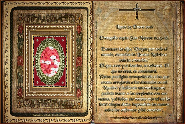 José Antonio Cotallo López