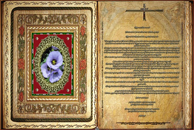 José Antonio Cotallo López