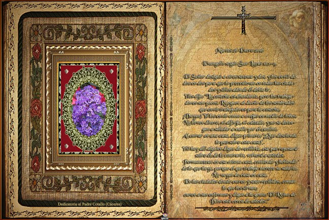 José Antonio Cotallo López