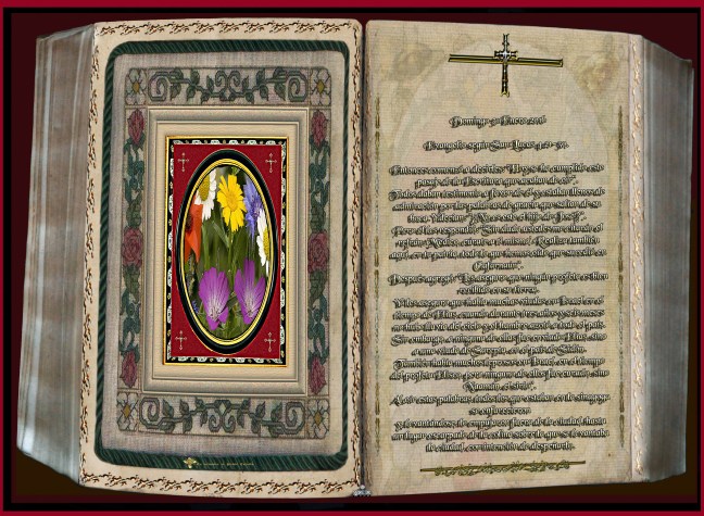 José Antonio Cotallo López