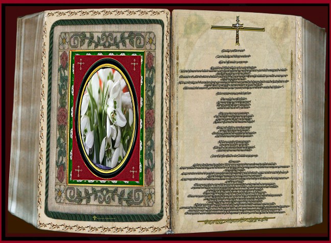 José Antonio Cotallo López