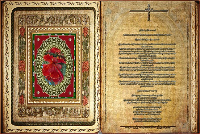 José Antonio Cotallo López